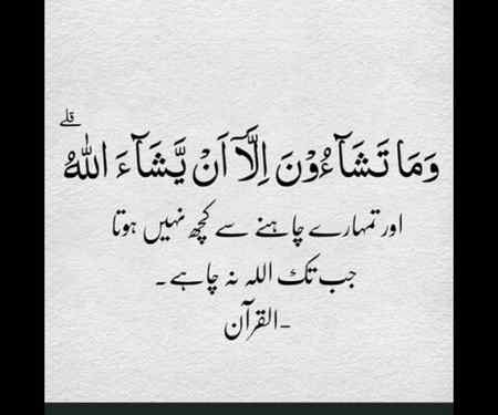 Beshak🌹🌹