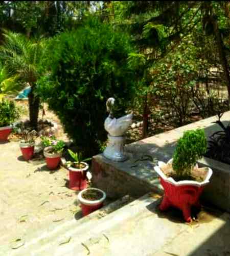 Wo bhe kya din thy jb hm clg prty thy ✌🥰😘❤