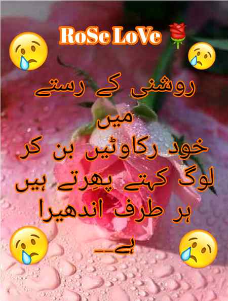 👍😢👍😢👍😢👍RoSe😢👍😢👍😢