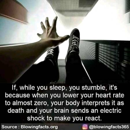 Unbelievable facts