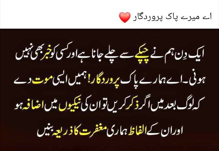 🌹🌹🌹صلی اللہ علی حبیبہ محمد نور من نوراللہ وعلی آلہ واہل بیتہ وعترتہ وازواجہ وصحبہ وجدہ وذریتہ و کل امتہ وبارک وسلم کثیراً کثیرا و دائماً ابدا 🌹🌹🌹
