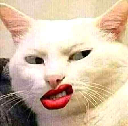 جب لڑکیاں اپنے سے زیادہ خوبصورت لڑکی دیکھ لیں تو کچھ اس طرح کا منہ بناتی ہیں