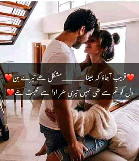 •||^°°°°^•||•