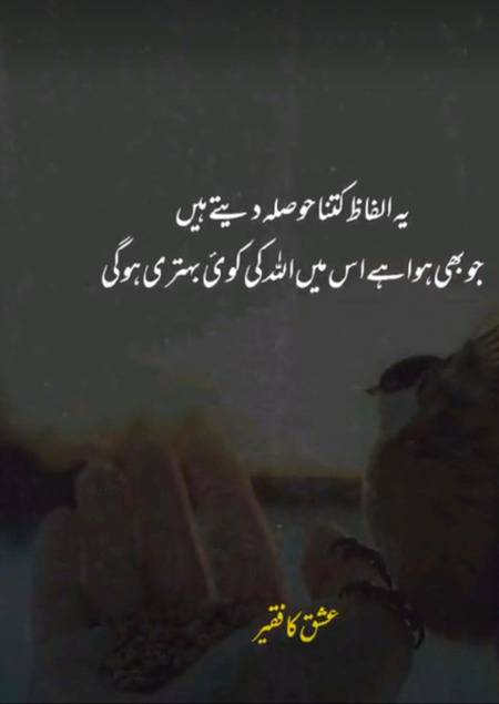 💯💯Beshak💯💯