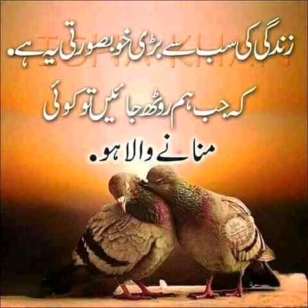 Allah Hafiz