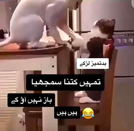 Toba kis krny laga tha 🙂🙂 🙈😣