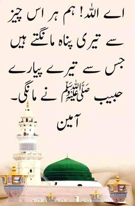 🌹🌹🌹صلی اللہ علی حبیبہ محمد نور من نوراللہ وعلی آلہ واہل بیتہ وعترتہ وازواجہ وصحبہ وجدہ وذریتہ و کل امتہ وبارک وسلم کثیراً کثیرا و دائماً ابدا 🌹🌹🌹