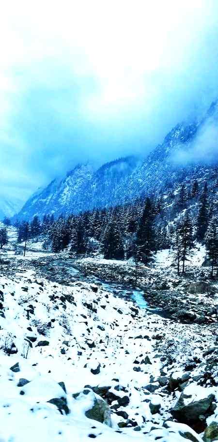 Hills view muree