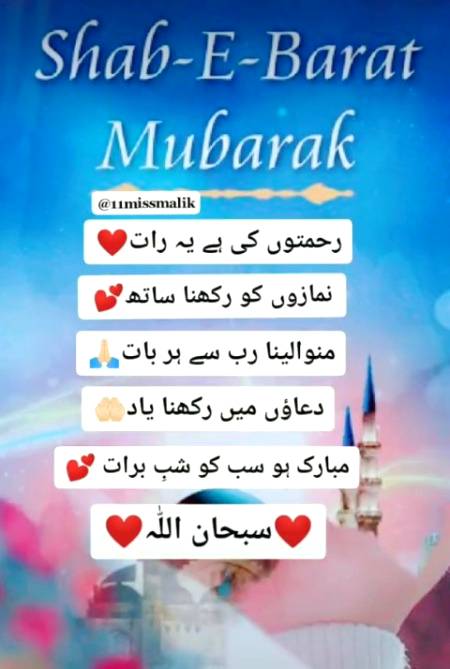 ...🌹🌹🌹🌹🌹🌹...