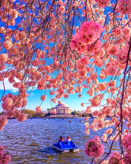 Beautiful photo along the water in washington..