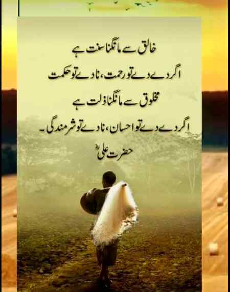 Hlo friends