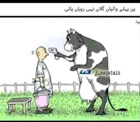 Hadd hain yaar