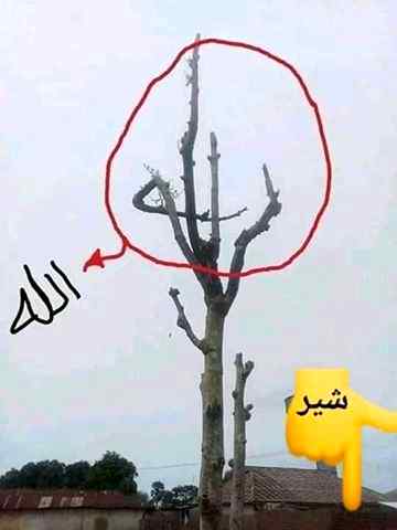 Masallah!!! Please share!