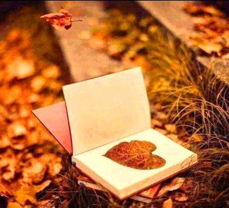 مخلص ہونا دنیا کا سب سے زیادہ پرکشش جذبہ ہے, 
اگر آپ کسی کو کچھ نہیں دے سکتے مگر اچھے الفاظ تو دے ہی سکتے ہیں, 
الفاظ لہجہ نہیں رکھتے مگر تاثیر تو رکھتے ہیں, شاید آپکے الفاظ کسی کے لیے راہ حیات بن جائیں,
ایسے لوگوں کو اللہ دوسروں کے لیے ذریعہ بنا دیتا ہے اپنے تک پہنچنے کا...!💯
یقین جانیے وہ لوگ خوش نصیب ہوتے ہیں جن کے الفاظ لوگوں کے دلوں میں رقم ہو جاتے ہیں...! 💗