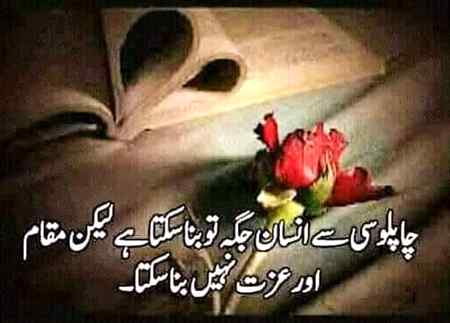 🌹🌹🏵️🏵️💮💮🌺🌺🌸🌸🌼🌼💐