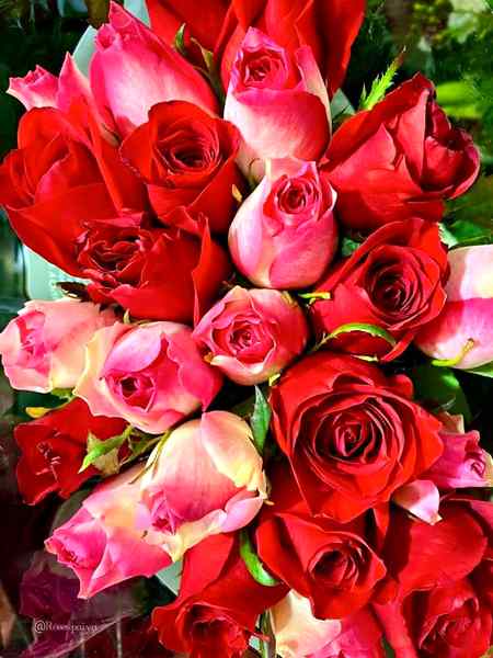 یہ رم جھم, یہ بارش, یہ آوارگی کا موسم   ہمارے بس میں ہوتا تو تیرے پاس چلے آتے ..