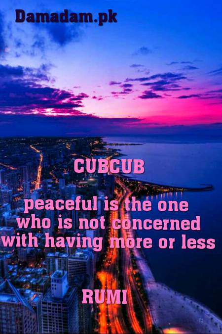 Rumi's words