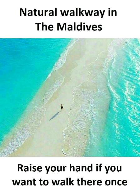 Natural walk way in Maldives