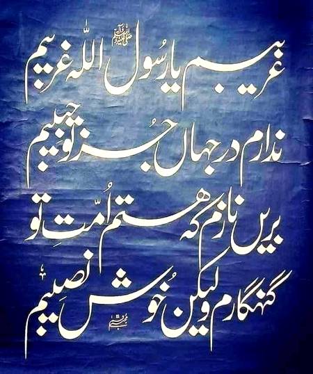 یا رسول اللہ ﷺ میں انتہائی غریب ہوں
اس دنیا میں میرا آپﷺ کے سواکوئی حبیب نہیں
بس مجھے اس پر ناز ہے کہ میں آپﷺ کی امتی ہوں 
بےشک میں گنہگار ہوں لیکن
آپﷺ کی امتی ہونے کے سبب خوش نصیب ہوں
سیدالانبیاء 
صلی اللہ علیہ وآلہ وسلم
