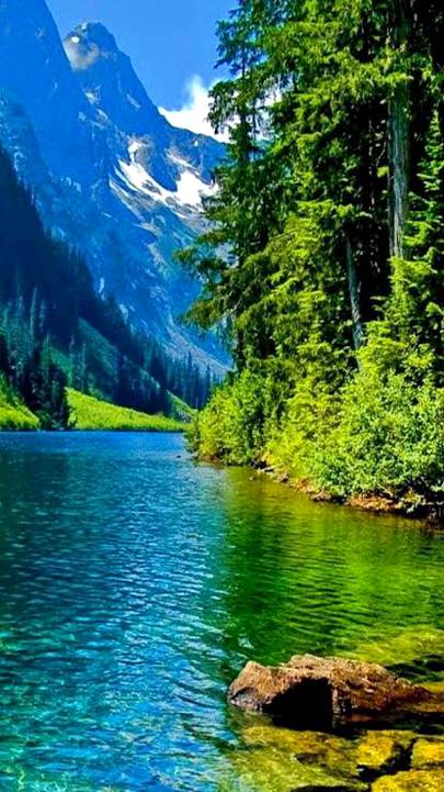 Nature ❤💜