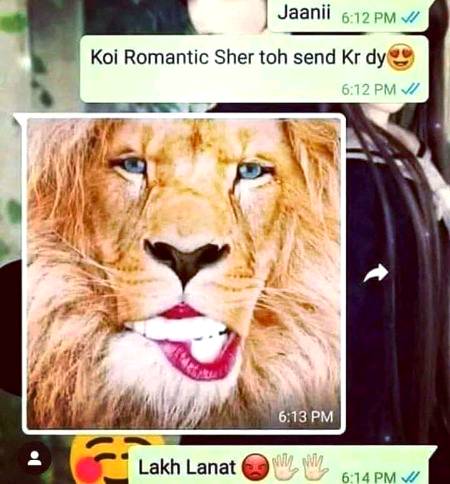 Romantic sher