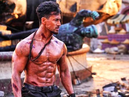Baaghi boy.my favorite tiger 🐯