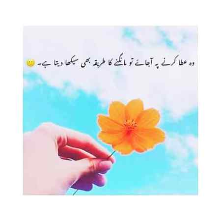 💖💖💖💕💕💕💖💖💖