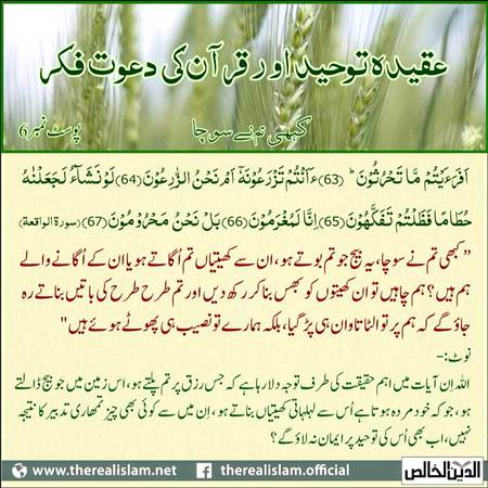 عقیدہ توحیداورقرآن و سنت کی دعوت فکر