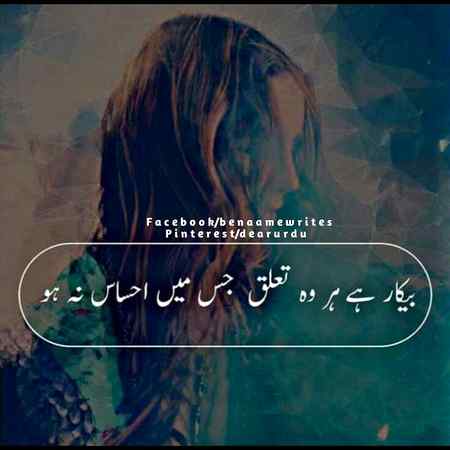 hlo friends