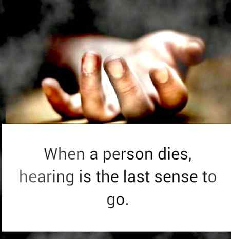 Fact .. 👀😲