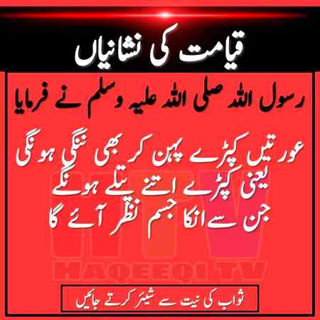hlo friends