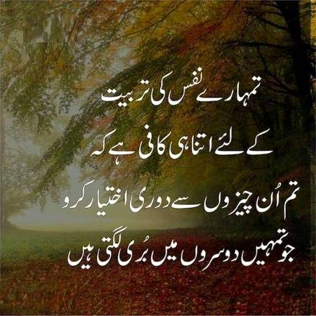 Right ╮(. ❛ ᴗ ❛.)╭