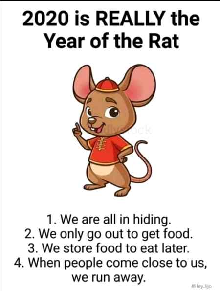 2020 is really the year of rat