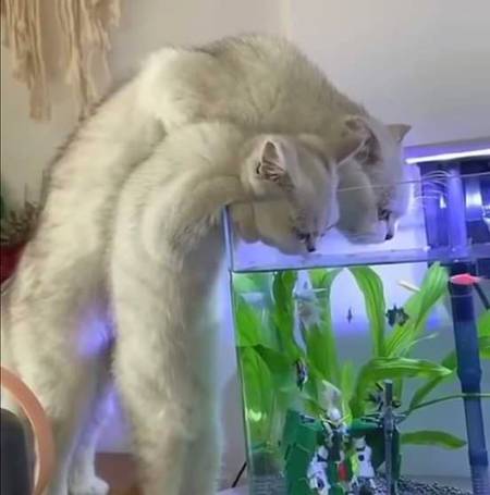 Beautiful photography