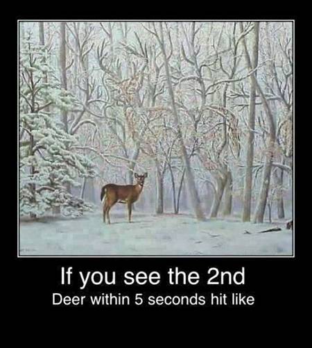 I saw in less than 5 seconds....😎