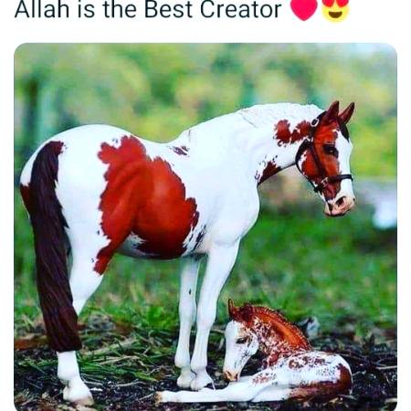 SubhanAllah 🔥🔥❤