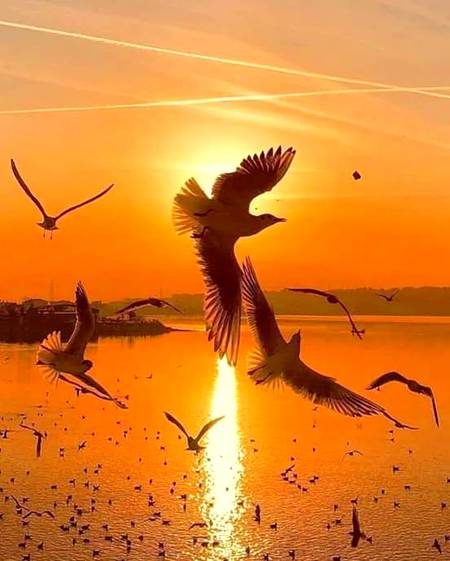 ﯾﮧ ﺟﻮ ﺩُﮐﮫ ﮨﻮﺗﮯ ﮨﯿﮟ ﻧﺎﮞ ﺿﺮﻭﺭﯼ ﮨﻮﺗﮯ ﮨﯿﮟ
 ﯾﮧ ﮨﻤﯿﮟ ﺍﺳﯽ ﺩﺭ ﭘﮧ ﻟﮯ ﺟﺎﺗﮯ ﮨﯿﮟ ﻭﮨﯿﮟ ﺭﺏ ﮐﮯ ﭘﺎﺱ ﺟﯿﺴﮯ ﺑﭽﮧ ﭼﻮﭦ ﮐﮭﺎ ﮐﮯ ﻣﺎﮞ ﮐﯽ ﻃﺮﻑ ﺑﮭﺎﮔﺘﺎ ﮨﮯ ﻧﺎ بلکل ﻭﯾﺴﮯ ﮨﯽ ﮨﻢ ﺑﻠﺒﻼﺗﮯ ﮨﻮﺋﮯ ﺍﻟﻠﮧ ﮐﯽ ﻃﺮﻑ ﺑﮭﺎﮔﺘﮯ ﮨﯿﮟ ﺍﻭﺭ ﺍﺳﯽ ﺳﮯ ﺭﺟﻮﻉ ﮐﺮﺗﮯ ﮨﯿﮟ
ﺟﺐ ﮨﻤﯿﮟ ﺩﺭﺩ ﮨﻮﺗﺎ ﮨﮯ ﮐﻮﺋﯽ ﺍﻭﺭ ﺩﺭ ﻧﮩﯿﮟ ﻣﻠﺘﺎ ﺟﺐ ﮐﻮﺋﯽ ﺳﮩﺎﺭﺍ ﻧﮩﯿﮟ ﺭﮨﺘﺎ ﺟﺐ ﺳﺎﻧﺴﯿﮟ ﺗﻨﮓ ﺳﯽ ﮨﻮﻧﮯ ﻟﮕﺘﯽ ﮨﯿﮟ ﺟﺐ ﮨﻢ ﭨﮭﮑﺮﺍﺋﮯ ﺟﺎﺗﮯ ﮨﯿﮟ ﺟﺐ ﮨﻢ ﺭُﻻﺋﮯ ﺟﺎﺗﮯ ﮨﯿﮟ ﺗﺐ ﺗﺐ ﮨﻢ ﺍﻟﻠﮧ ﮐﻮ ﭘُﮑﺎﺭﺗﮯ ﮨﯿﮟ ﺍﻭﺭ ﻭﮦ ﺭﺣﻤﺎﻥ ﻭ ﺭﺣﯿﻢ ﺑﺎﺩﺷﺎﮦ ﺳﻤﯿﭧ ﻟﯿﺘﺎ ﮨﮯ ﺍﭘﻨﯽ ﺭﺣﻤﺖ ﮐﮯ ﺳﺎﺗﮫ