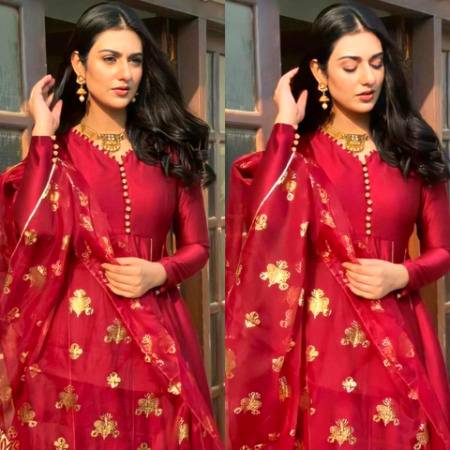 Pakistani Celebs image