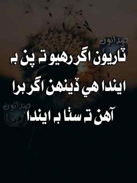 Insha Allah👍🌷🌷