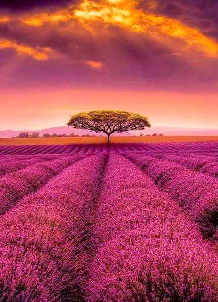 Beautiful sunset in Provence France