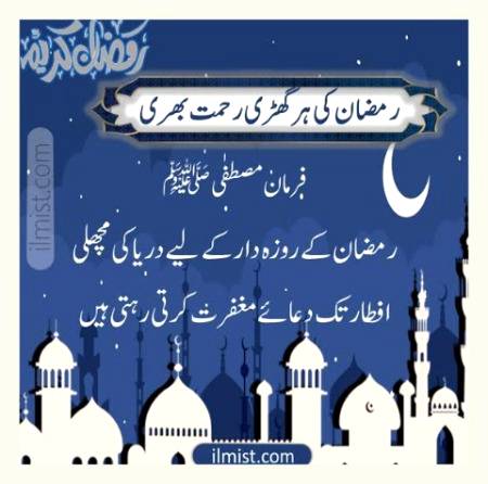 اسلام علیکم ورحمتہ اللہ وبرکاتہ
 ❁ســحر بخیــر❁ 
رمضان المبارک کے پہلے عشرہ کی دعا 

رَبِّ اغْفِرْ وَارْحَمْ وَأَنْتَ خَيْرُ الرَّاحِمِينَ 

اے ہمارے رب مجھے بخش دے، مجھ پر رحم فرما ، تو سب سے بہتر رحم فرمانے والا ہے۔