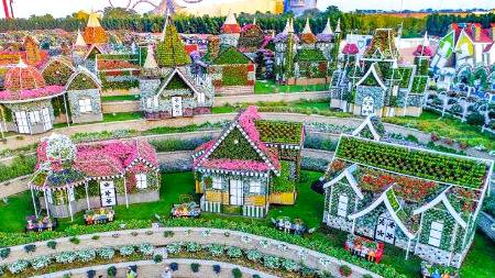 The National
Dubai Miracle Garden 😍🤗