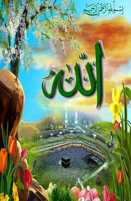 "دنیا میں سب سے زیادہ مطمئن وہ لوگ ہیں جنہیں اپنے معاملات اللّٰہ تعالیٰ کے سپرد کرنے کی عادت ہو"!🌸❤
_💕💯