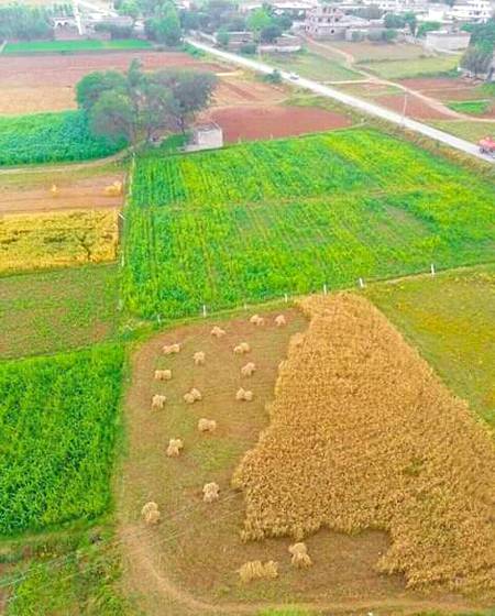 beautiful punjab