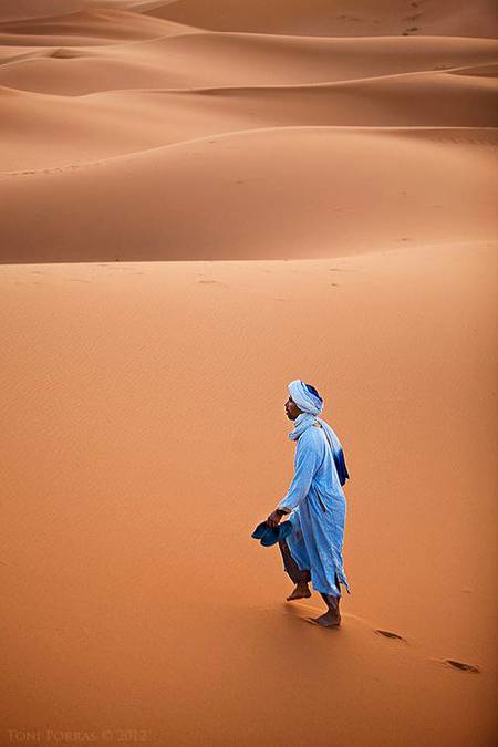 Desert Photography 🔥🔥