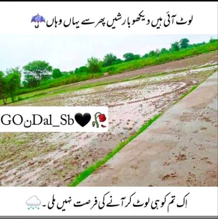 Ladla Jutt