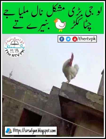 Funny joke