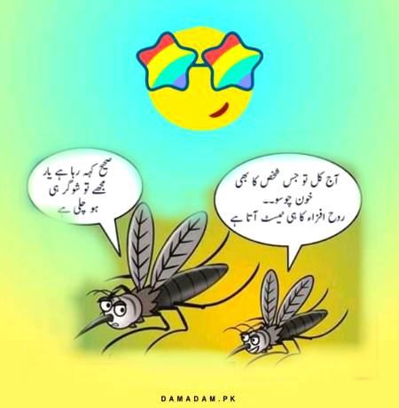 Funny joke