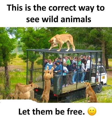 Funny joke