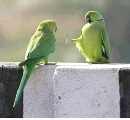 Funny joke